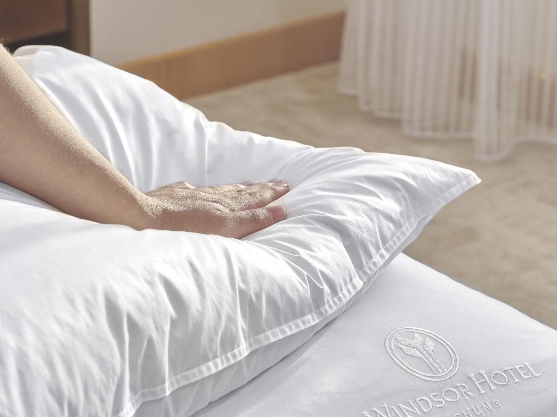 Windsor Hotel Taichung Exterior photo A pillow